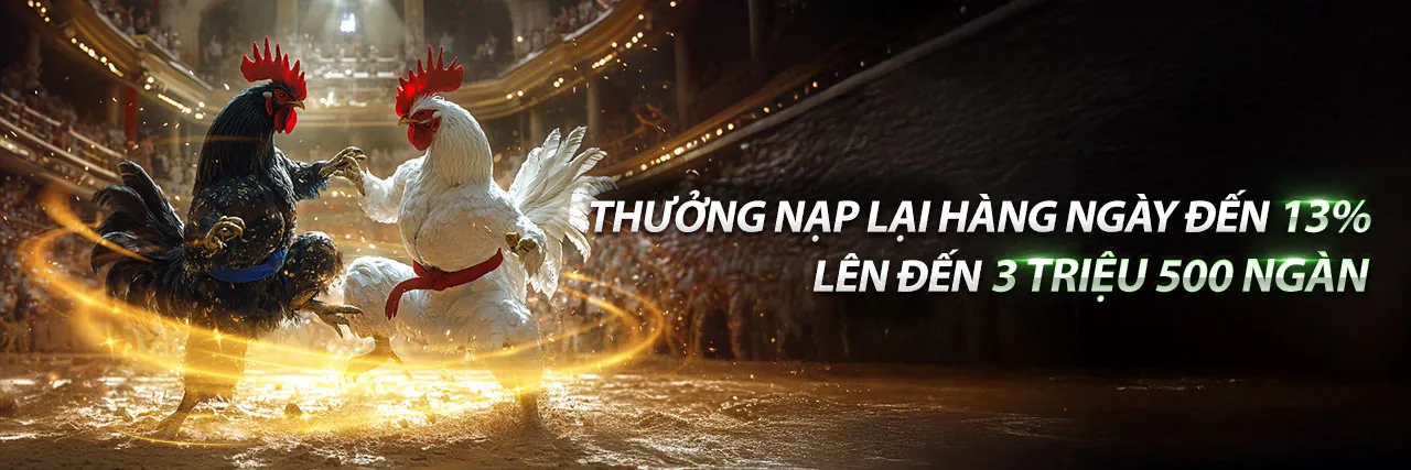 Đá gà 100usdt với các trận đấu kịch tính và người xem cuồng nhiệt